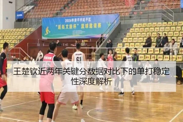 王楚钦近两年关键分数据对比下的单打稳定性深度解析