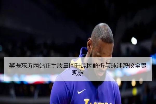 樊振东近两站正手质量回升原因解析与球迷热议全景观察